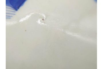 江戸期　成化年製　古伊万里　染付　蛸唐草文　松竹梅図　約45cm　1尺4寸皿　職人による丁寧な絵付けが目を惹く大皿(和皿、和食器、一尺四寸)(R-074989)