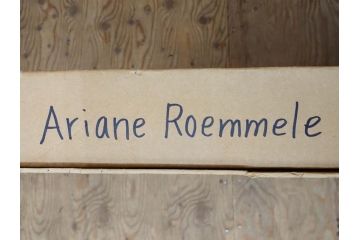 真作　現在入手困難!!　オーストラリア画家　エイリアン・ロメリー　Ariane Roemmele　外面の顔(絵画、額装、箱付き)(R-074992)