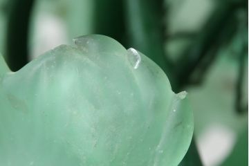 中古　イタリア製　トーソー社(TOSO CESARE)　ムラーノガラス(Murano　Glass)　ブドウ(葡萄、ぶどう)　13灯　空間のアクセントになるスタンドライト(フロアスタンド、スタンド照明、フロア照明、ベネチアングラス、ヴェネチアングラス、ムラノガラス)(定価約130万円)(R-075080)