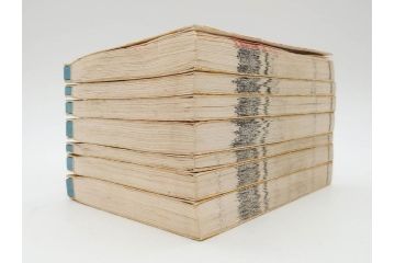 明治19年　中国漢字辞典　康熙字典40冊セット(唐本、翻刻、木箱付き)(R-075107)