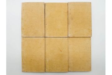 明治19年　中国漢字辞典　康熙字典40冊セット(唐本、翻刻、木箱付き)(R-075107)