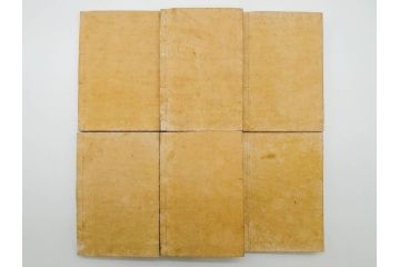 明治19年　中国漢字辞典　康熙字典40冊セット(唐本、翻刻、木箱付き)(R-075107)