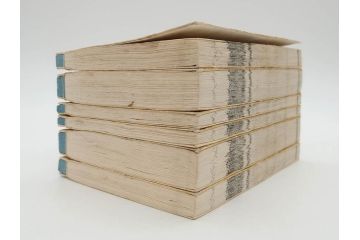 明治19年　中国漢字辞典　康熙字典40冊セット(唐本、翻刻、木箱付き)(R-075107)