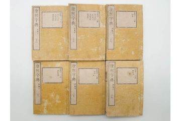 明治19年　中国漢字辞典　康熙字典40冊セット(唐本、翻刻、木箱付き)(R-075107)