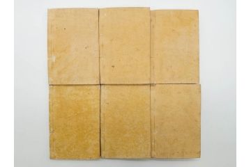 明治19年　中国漢字辞典　康熙字典40冊セット(唐本、翻刻、木箱付き)(R-075107)