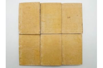 明治19年　中国漢字辞典　康熙字典40冊セット(唐本、翻刻、木箱付き)(R-075107)