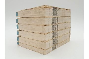 明治19年　中国漢字辞典　康熙字典40冊セット(唐本、翻刻、木箱付き)(R-075107)
