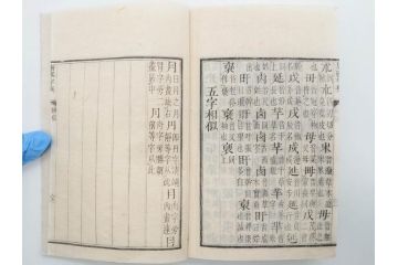 明治19年　中国漢字辞典　康熙字典40冊セット(唐本、翻刻、木箱付き)(R-075107)