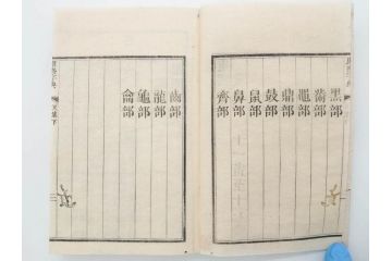 明治19年　中国漢字辞典　康熙字典40冊セット(唐本、翻刻、木箱付き)(R-075107)