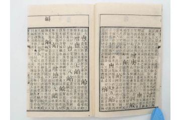 明治19年　中国漢字辞典　康熙字典40冊セット(唐本、翻刻、木箱付き)(R-075107)