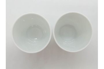 重要無形文化財　人間国宝　十四代　酒井田柿右衛門　錦　酒器　梅花文が愛らしい銚子&猪口2客セット(おちょこ、ぐい呑み、和食器、共箱付き)(R-075110)
