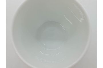 重要無形文化財　人間国宝　十四代　酒井田柿右衛門　錦　酒器　梅花文が愛らしい銚子&猪口2客セット(おちょこ、ぐい呑み、和食器、共箱付き)(R-075110)