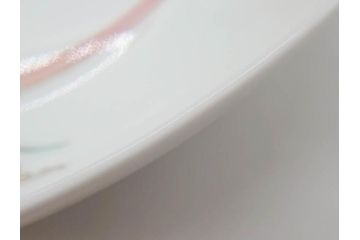 重要無形文化財　人間国宝　十四代　酒井田柿右衛門　錦　梅菊文　鮮やかな色絵が食卓に彩を与える皿(中皿、和皿、和食器、共箱付き)(R-075117)