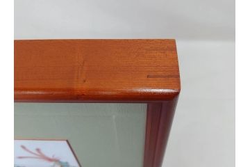 重要無形文化財　人間国宝　十四代　酒井田柿右衛門　錦　菊鳳凰文　色彩豊かな絵付けが魅力的な陶額(色絵、陶画、壁掛け、額装、共箱付き)(R-075122)