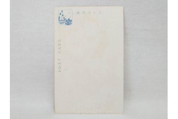 昭和レトロ　新年はがき　女の子　男の子　200枚×2箱セット(絵葉書、年賀状、ハガキ、箱付き、計400枚、8種類、振袖、スキー、凧)(R-075226)