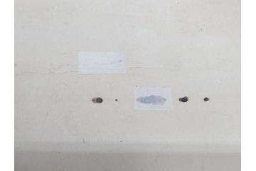 激レア!　戦前　当時物　特大　ポスター　九月十八日　満州事変勃発満二年　軍　ミリタリー(陸軍記念日)(R-075233)