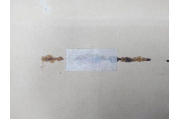 激レア!　戦前　当時物　特大　ポスター　九月十八日　満州事変勃発満二年　軍　ミリタリー(陸軍記念日)(R-075233)