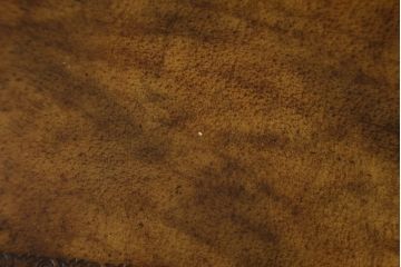 中古　メートランドスミス(MAITLAND SMITH)　キュリオケース　細部まで拘りあるデザインが素敵なサイドテーブル(ガラスケース、コンソールテーブル、ディスプレイケース、飾り棚、ショーケース、英国、店舗什器)(R-075296)
