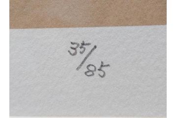 真作　田村能里子　「風の香り」　35/85　サイン入り　リトグラフ(版画、絵画、人物画、額装)(R-075460)