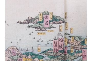 明治14年9月出版　都会便覧名所画入　大日本府県名所独案内(全)　小林栄成　安田安五郎(鳥瞰図、戦前、彩色版画、古地図、印刷物、俯瞰図、十四年)(R-075465)
