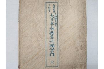 明治14年9月出版　都会便覧名所画入　大日本府県名所独案内(全)　小林栄成　安田安五郎(鳥瞰図、戦前、彩色版画、古地図、印刷物、俯瞰図、十四年)(R-075465)