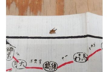 明治〜大正　富士山北口全図　名細図　頂展望図　一新講社　東京〜大山富士山道中案内 など 富士山案内図5枚セット(観光地図、登山遊覧案内、パンフレット、印刷物、古地図、鳥観図、俯瞰図、絵図)(R-075466)