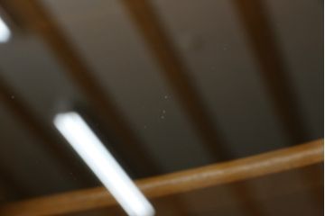 中古　美品!!　タモ材　玉杢　美しい杢目が目を惹く重厚な佇まいが魅力の茶箪笥(茶棚、戸棚、収納棚、飾り棚、キャビネット、食器棚)(定価約60万円)(R-075514)