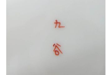 明治期　九谷　金襴手　赤絵　約12cm　3.9寸　華やかな色合いが美しい小皿5枚セット(金彩、和皿、和食器、三寸九分)(R-075523)