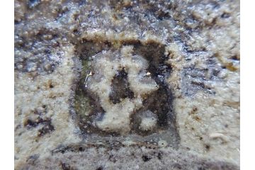 真作　陶芸家　加守田章二　上品な艶と濃淡の色合いが美しい灰釉鉢(和食器、和皿、共箱付き)(R-075535)