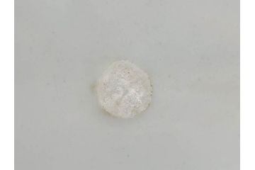 江戸期　古伊万里　染付　蟹　珍しい図柄が魅力的な花瓶(カニ、花器、花入、壺、壷)(R-075640)