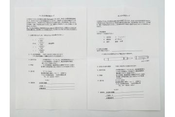 ドイツ　PELIKAN　ペリカン日本(株)社製　スーベレーン　M800　18C-750　F　万年筆(緑縞、グリーン系、ストライプ、INK、インク、筆記具、文具、吸入式、箱付き)(R-075650)
