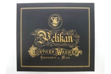 ドイツ　PELIKAN　ペリカン日本(株)社製　スーベレーン　M800　18C-750　F　万年筆(緑縞、グリーン系、ストライプ、INK、インク、筆記具、文具、吸入式、箱付き)(R-075650)