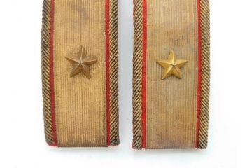 当時物　日本軍　陸軍　中将　肩章2組セット(軍物、ミリタリー、階級章、軍服小物、箱付き)(R-075658)