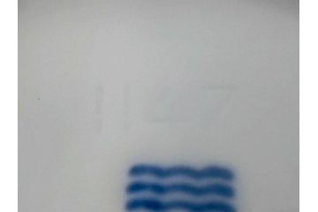 稀少　デンマーク　ROYAL COPENHAGEN(ロイヤルコペンハーゲン)　White Fluted Full Lace　ホワイトフルーテッド フルレース　美しいデザインが優雅さを演出するプレート4枚セット(皿、洋食器)(R-075791)