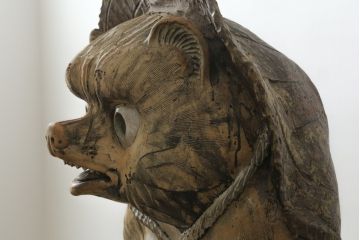 時代物　信楽焼　特大144cm　素朴な質感が味わい深い狸の置物(たぬき、タヌキ、オブジェ)(R-075842)