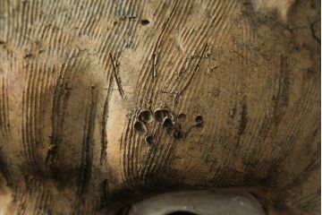 時代物　信楽焼　特大144cm　素朴な質感が味わい深い狸の置物(たぬき、タヌキ、オブジェ)(R-075842)