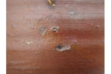 重要無形文化財　人間国宝　山本陶秀　備前焼　約12cm　4寸　深みのある色合いが上品な和の雰囲気を高める茶碗(和食器、抹茶碗、茶道具、茶器、共箱付き、四寸)(R-075878)