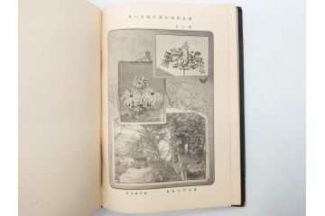 明治　戦勝国　一大紀念帖　写真製版　第二師団　従軍写真師　遠藤陸郎　仙台　記念帳(写真集、資料、古本)(R-075882)