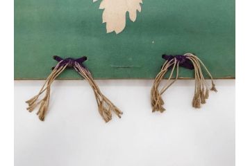 明治　第五回内国勧業博覧会　写真帖(大阪、天王寺今宮、写真帳、写真集、古本)(R-075884)