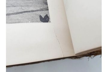 明治35年　小川一真　北清事変写真帖(支那、中国、満州、朝鮮、台湾、写真帳、写真集、古本、1902年)(R-075894)
