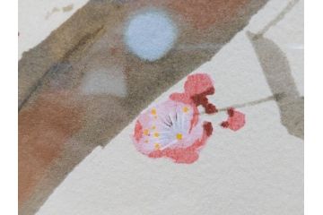 真作　竹内栖鳳　「梅園禽語」　限定200部　84/200　リトラグフ(版画、絵画、額装、箱付き)(R-075897)