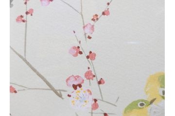 真作　竹内栖鳳　「梅園禽語」　限定200部　84/200　リトラグフ(版画、絵画、額装、箱付き)(R-075897)