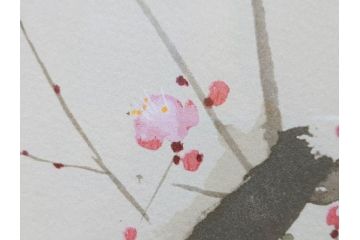 真作　竹内栖鳳　「梅園禽語」　限定200部　84/200　リトラグフ(版画、絵画、額装、箱付き)(R-075897)