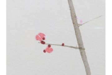 真作　竹内栖鳳　「梅園禽語」　限定200部　84/200　リトラグフ(版画、絵画、額装、箱付き)(R-075897)