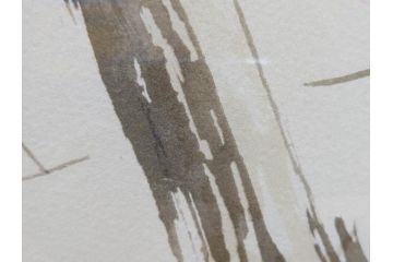真作　竹内栖鳳　「梅園禽語」　限定200部　84/200　リトラグフ(版画、絵画、額装、箱付き)(R-075897)