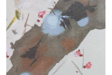 真作　竹内栖鳳　「梅園禽語」　限定200部　84/200　リトラグフ(版画、絵画、額装、箱付き)(R-075897)
