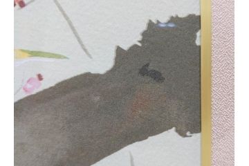 真作　竹内栖鳳　「梅園禽語」　限定200部　84/200　リトラグフ(版画、絵画、額装、箱付き)(R-075897)