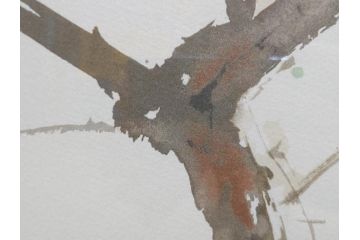 真作　竹内栖鳳　「梅園禽語」　限定200部　84/200　リトラグフ(版画、絵画、額装、箱付き)(R-075897)