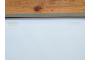 真作　竹内栖鳳　「梅園禽語」　限定200部　84/200　リトラグフ(版画、絵画、額装、箱付き)(R-075897)