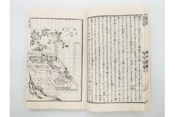 明治　頭書図画　遊仙窟鈔　松山堂書店発行　上・下2冊セット(和本、張文成、全5巻)(R-075952)